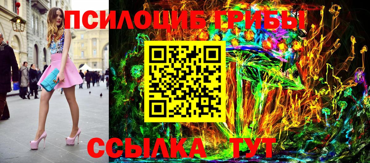 Гурьевск  как найти закладки  Галлюциногенные грибы Cubensis  Вход с VPN  Галлюциногенные грибы Cubensis 